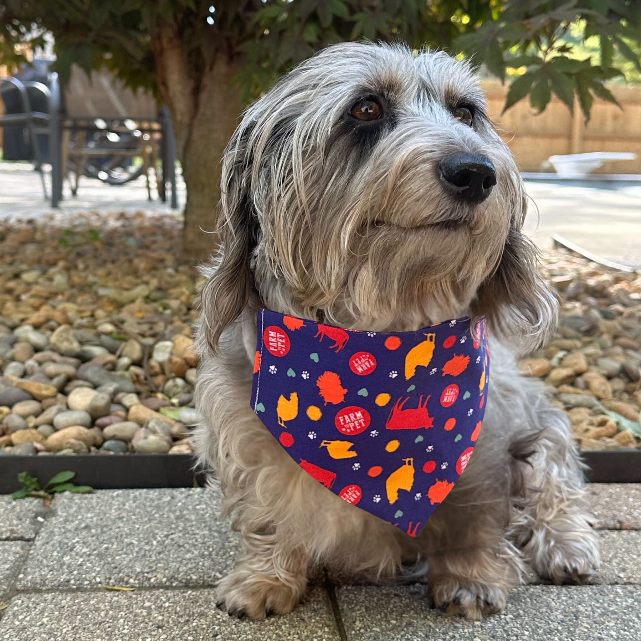 Tie-on Dog Bandana | Adjustable String-tie Bandana for Dogs and Cats